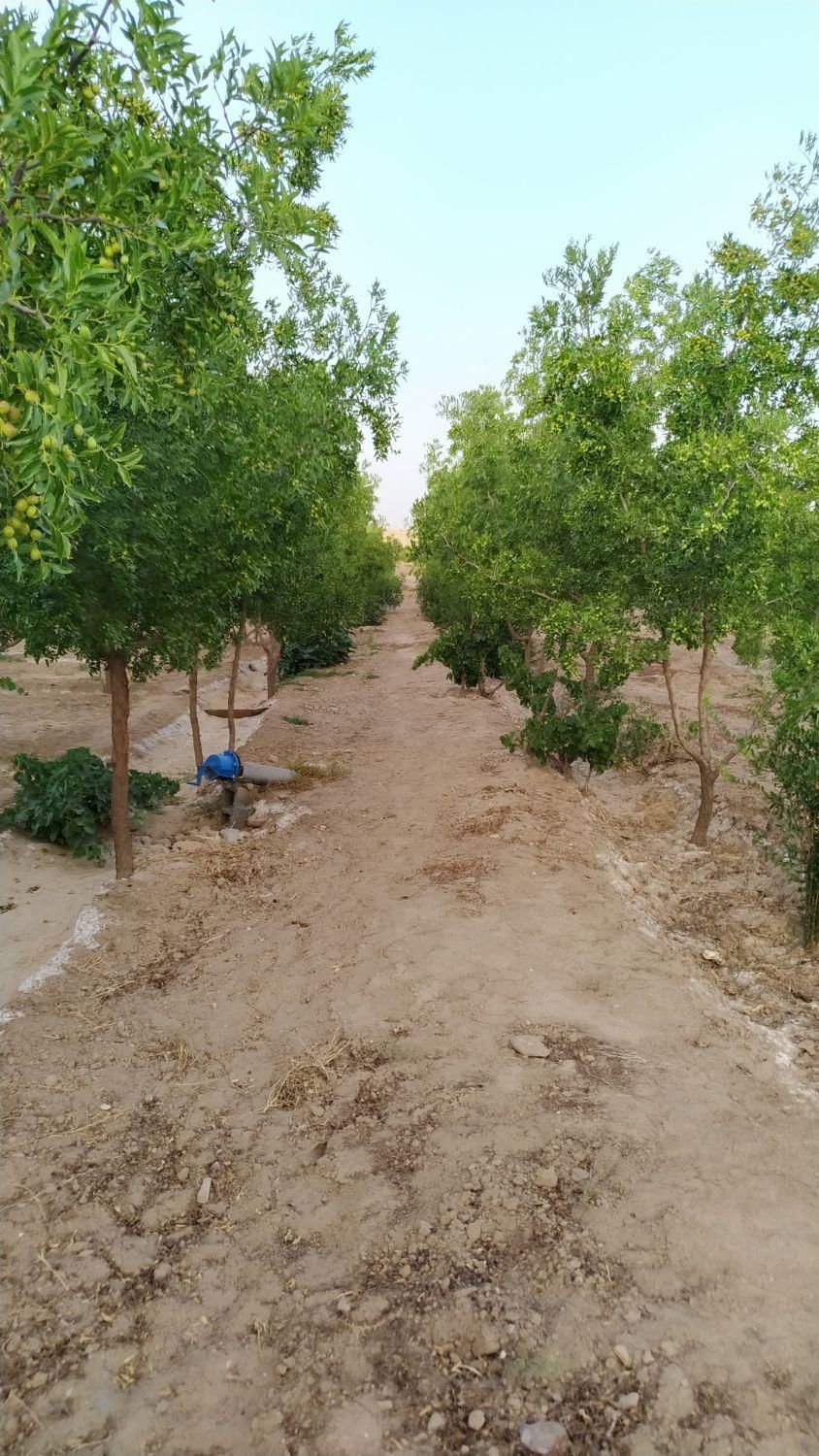 تصویر 9