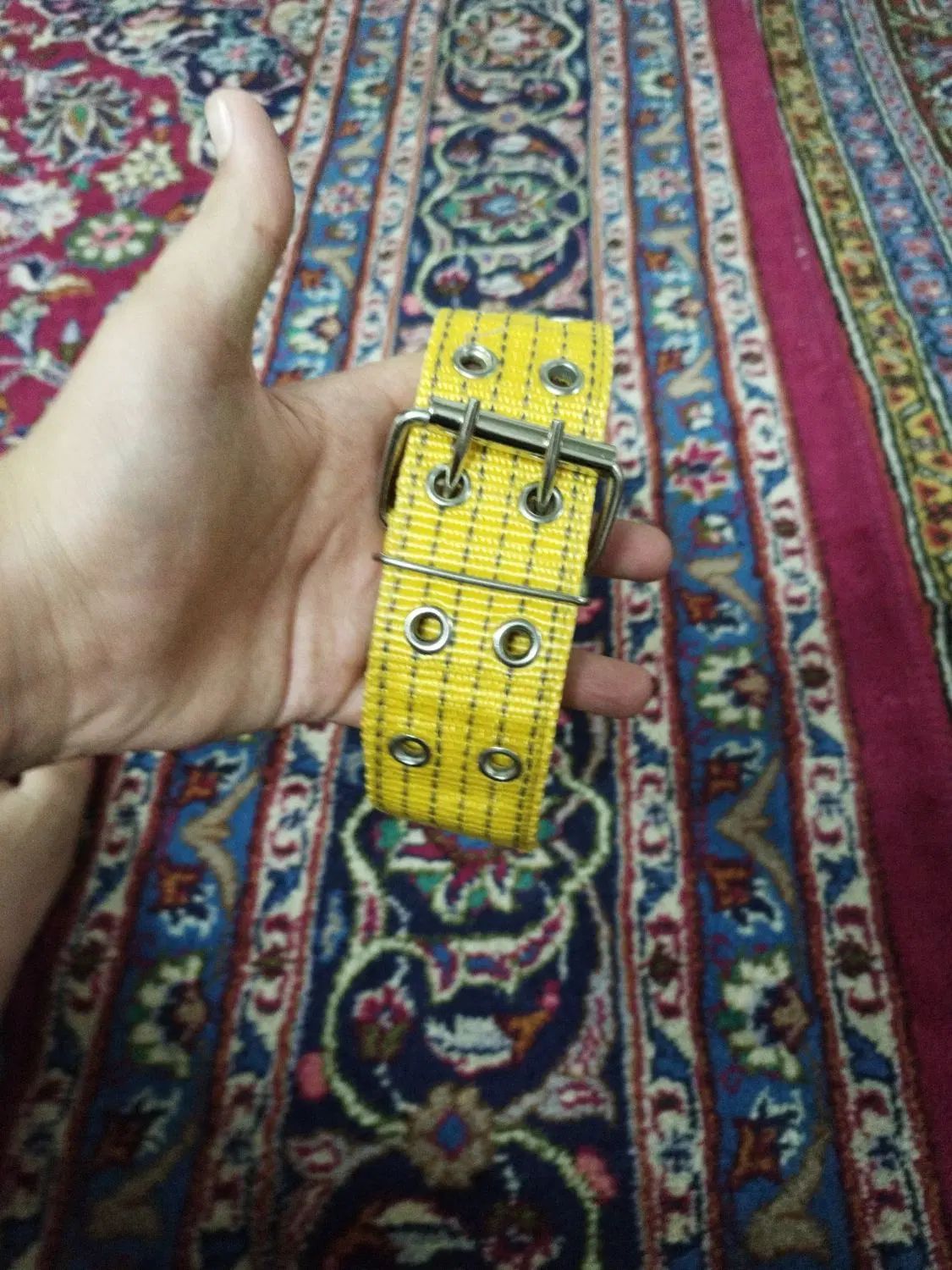قلاده گردن سگ مدل برزنتی|لوازم جانبی حیوانات|تهران, گمرک|دیوار