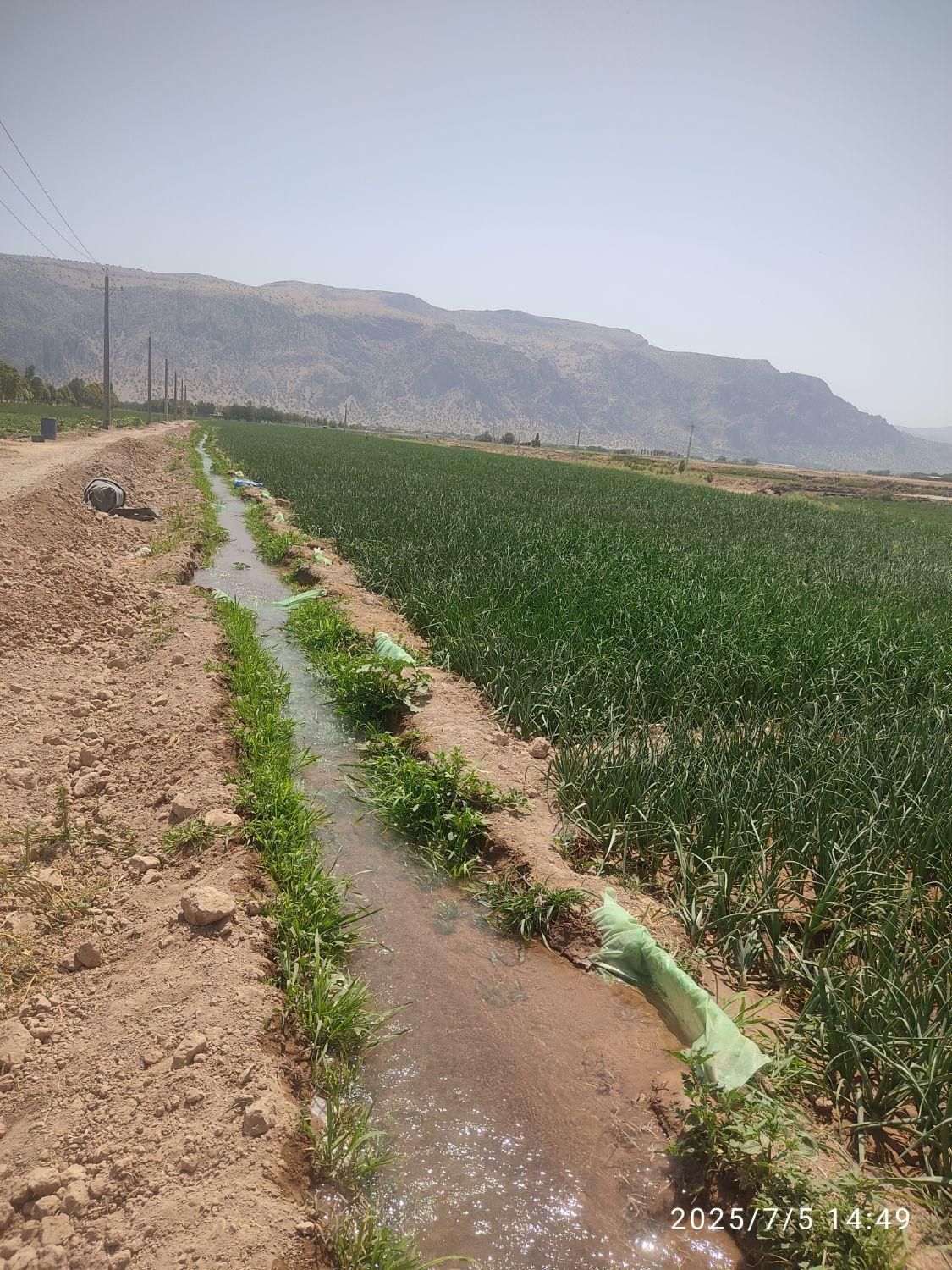 فروش زمین کشاورزی شهرستان سعادتشهر .پاسارگاد|فروش زمین و ملک کلنگی|پاسارگاد, |دیوار