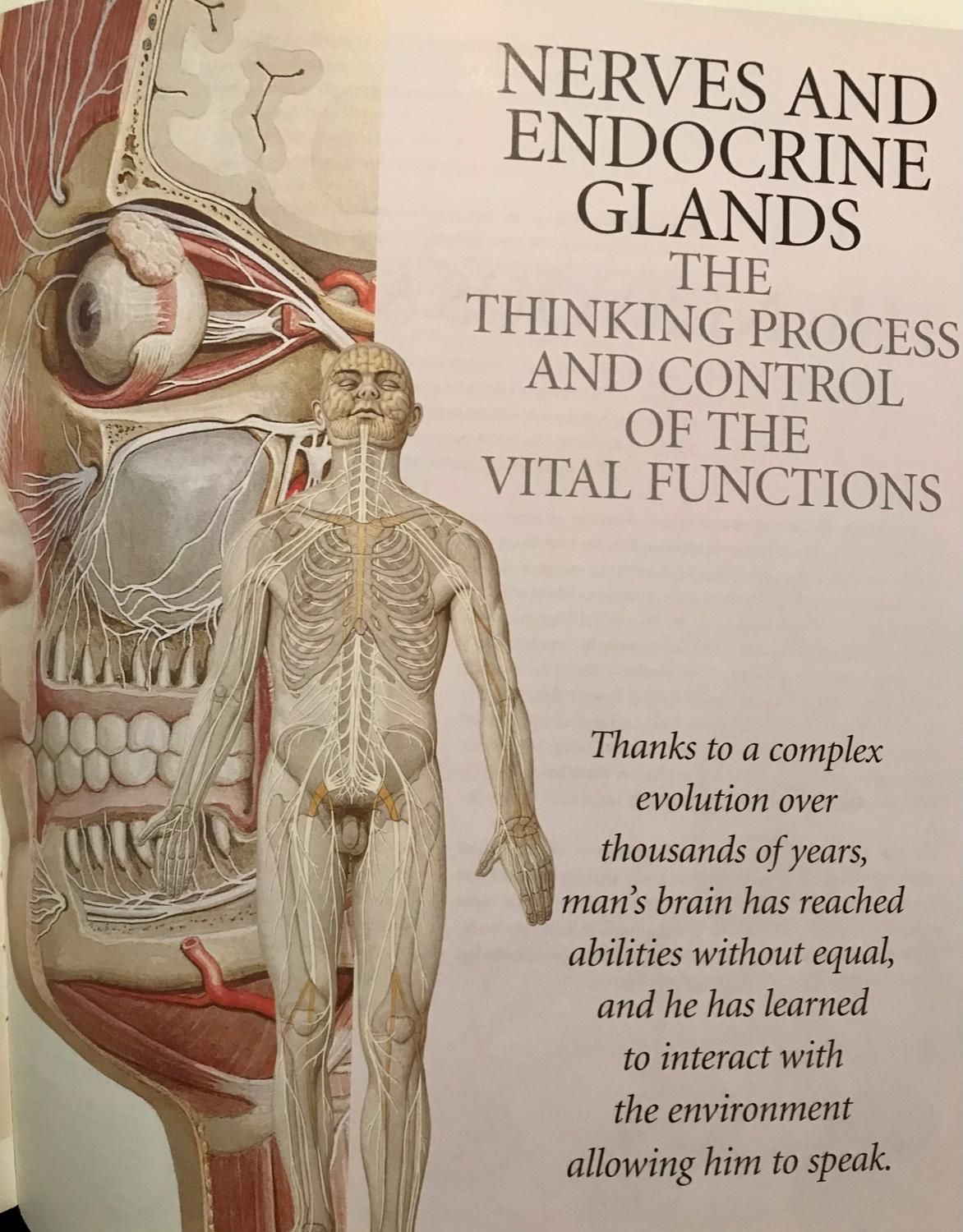اطلس اناتومی ATLAS OF ANATOMY|کتاب و مجله آموزشی|کلاردشت, |دیوار
