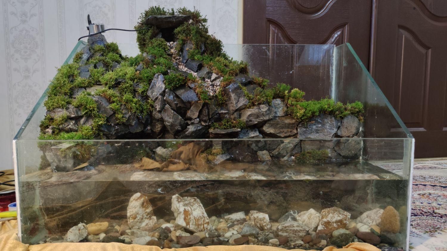 آکواریوم با طرح صخره و آبشار|ماهی|ارومیه, |دیوار