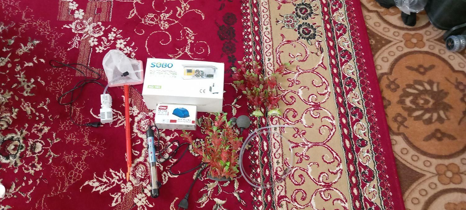 اکواریوم۱۰۰ لیتری|ماهی|دوگنبدان, |دیوار