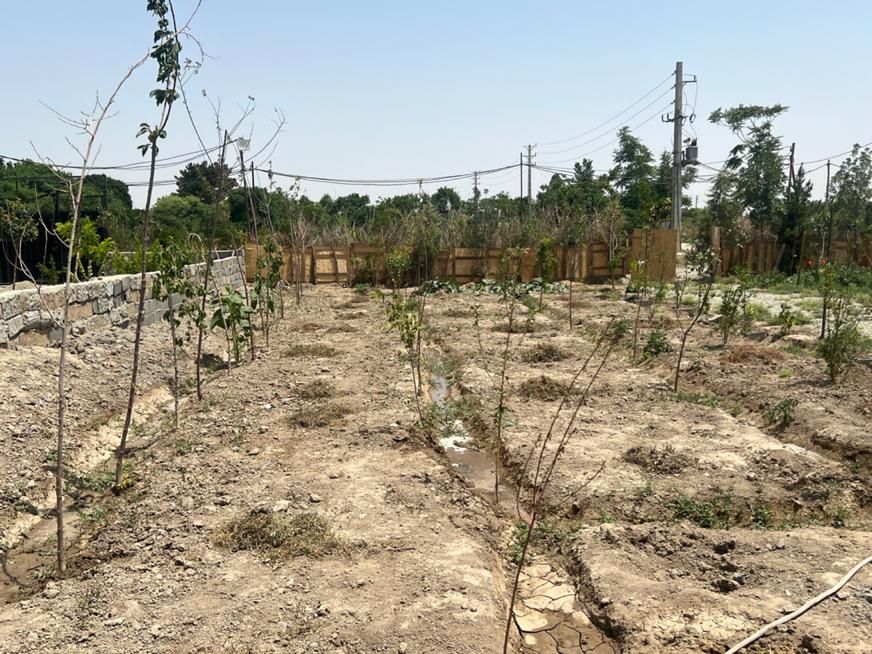 فروش زمین ۵۶۵ متری|فروش زمین و ملک کلنگی|اسلام‌شهر, کاشانک|دیوار