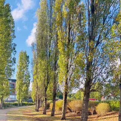ایران گردی و سفر|فعالیت داوطلبانه|مشهد, ملک‌آباد|دیوار