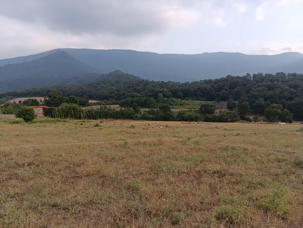 فروش زمین در بهترین لوکیشن|فروش زمین و ملک کلنگی|علیآباد کتول, |دیوار