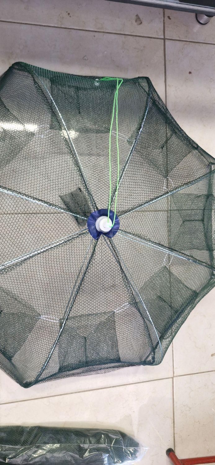 گرگور تور بچه ماهی|ماهیگیری|اصفهان, باغ فدک|دیوار