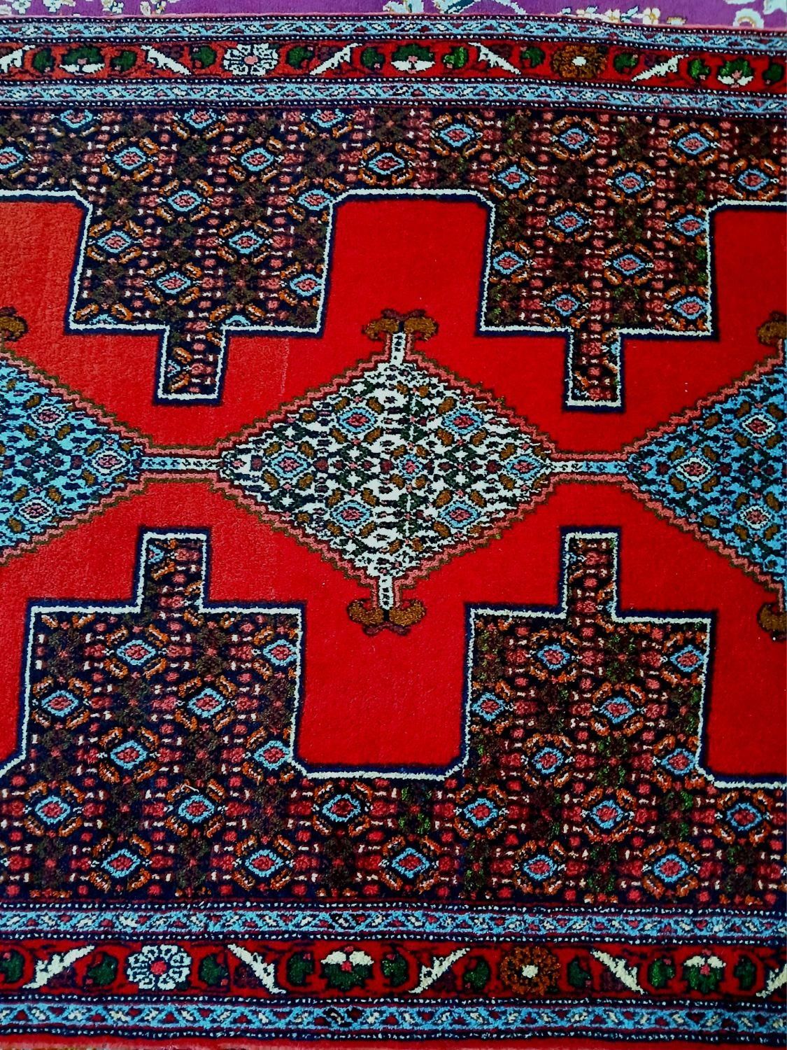 قالی دستباف رنگ گیاهی|فرش|سنندج, |دیوار