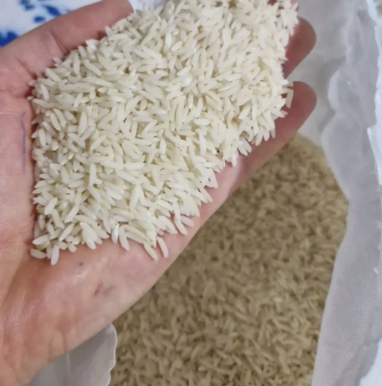برنج هاشمی و طارم محلب|خوردنی و آشامیدنی|تهران, نیروی هوایی (پیروزی)|دیوار