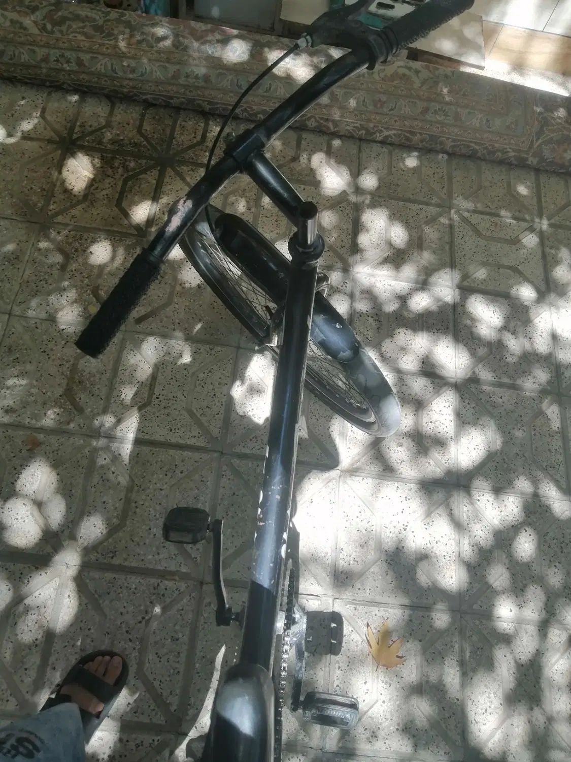 گرینچیک. عروس هلندی. مرغ عشق. دوچرخه|دوچرخه، اسکیت، اسکوتر|مشهد, حرم مطهر رضوی|دیوار