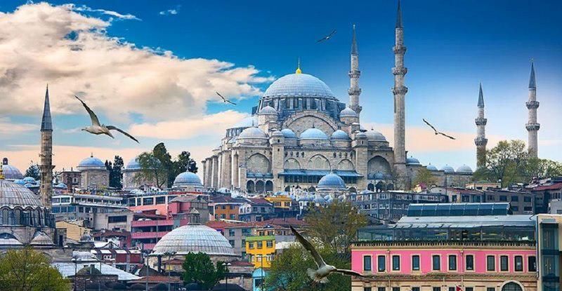تور وان ۱۱ تیر|تور و چارتر|تهران, سهروردی|دیوار