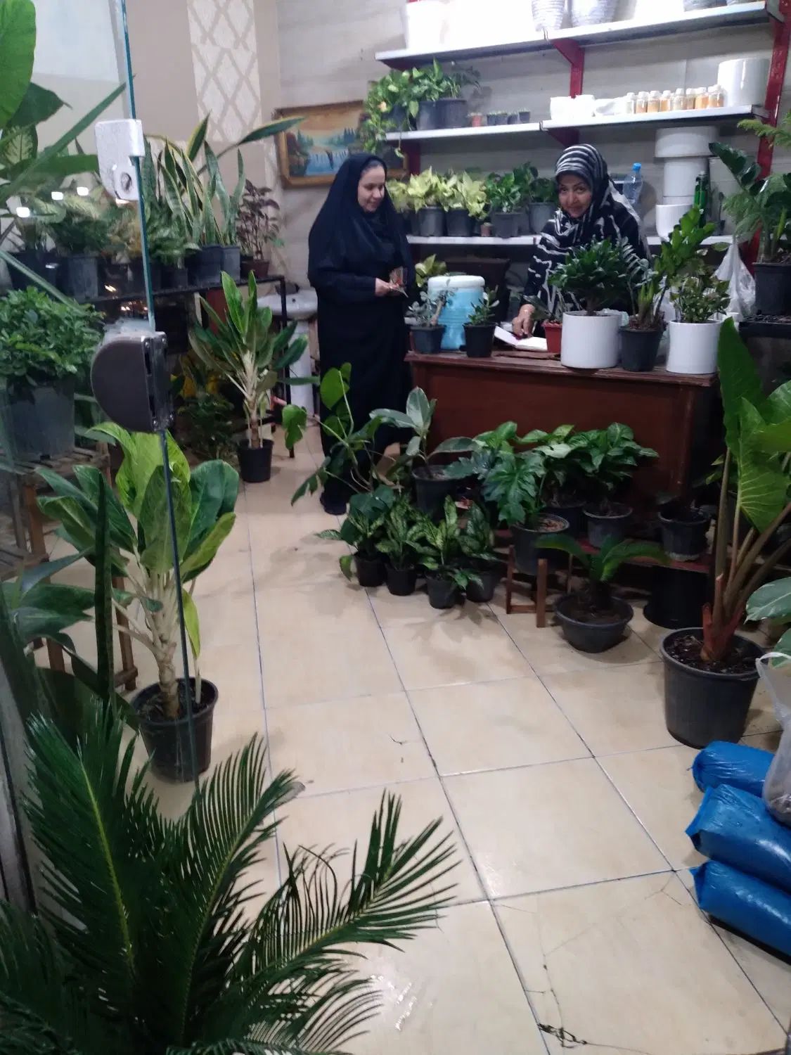 دو مغازه ۱۸ متری و ۱۲ متری سر نبش خیابان اصلی|فروش مغازه و غرفه|مشهد, شهرک امام هادی (شهرک غرب)|دیوار