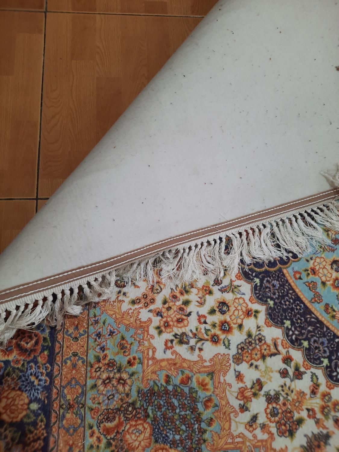 فرش نمدی|گلیم، جاجیم، گبه|رشت, کاکتوس|دیوار