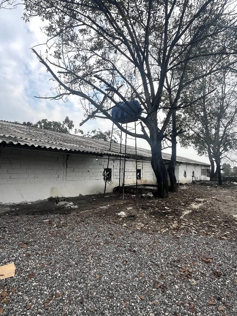 فروش مرغداری 10هزارتایی با پروانه فعال|فروش دفتر صنعتی، کشاورزی، تجاری|امامزاده عبدالله, |دیوار