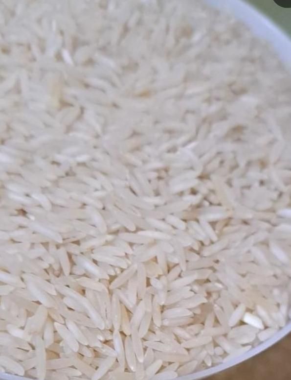 برنج طارم پرمحصول آستانه فقط 189هزار|خوردنی و آشامیدنی|ایوان, |دیوار