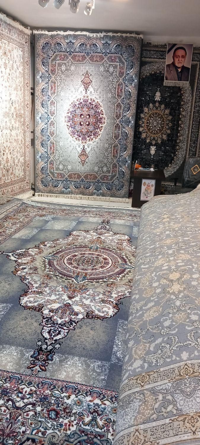 فرش۷۰۰شانه نخ ۱۲متری   *المیرا*|فرش|مشهد, ایثارگران|دیوار