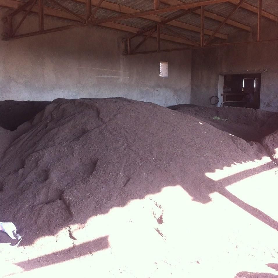 ورمی کمپوست بهترین کود برای درخت گل|خدمات باغبانی و درختکاری|قم, انصار‌الحسین|دیوار