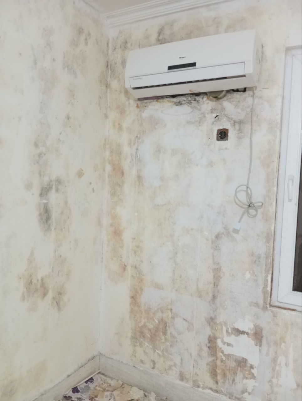 نقاشی ساختمان ودرب وپنجره|خدمات پیشه و مهارت|میبد, |دیوار