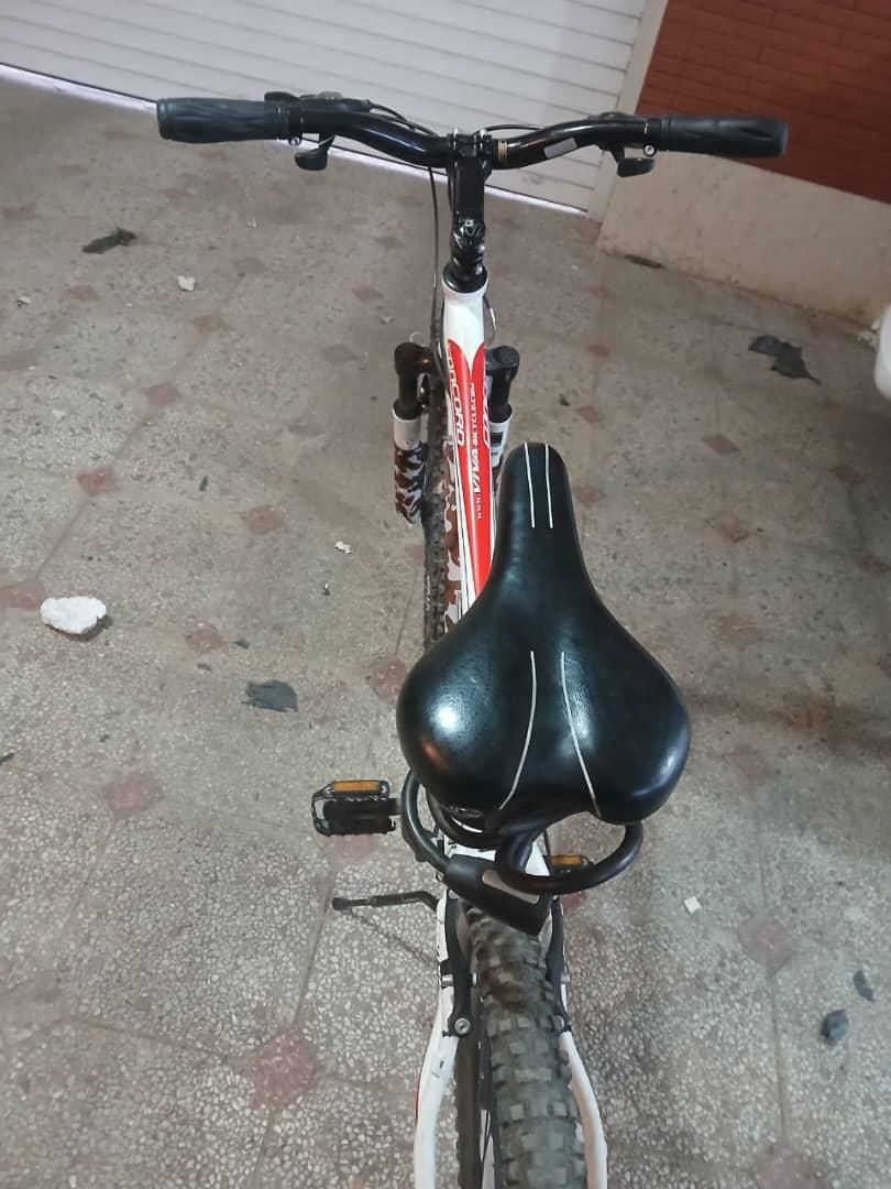 دوچرخه ویوا تایوان اصل اقساط|دوچرخه، اسکیت، اسکوتر|کرمان, |دیوار