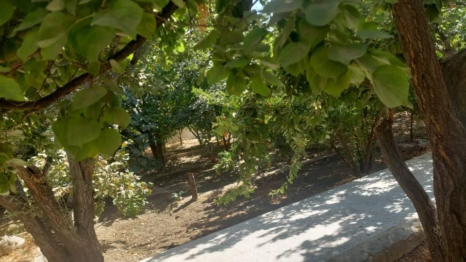 باغچه ۱۵۰۰ متری|فروش خانه و ویلا|مشکین‌دشت, |دیوار