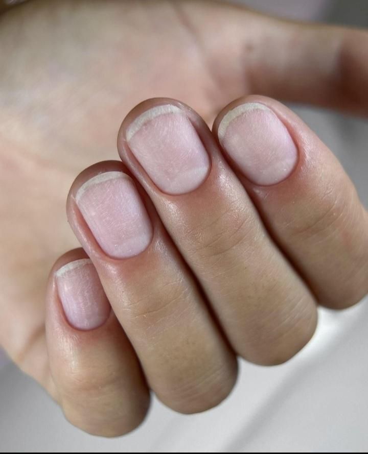 آموزش کامل کاشت پودر وژل دو میلیون و سیصد|خدمات آرایشگری و زیبایی|مشهد, شهید فرامرز عباسی|دیوار