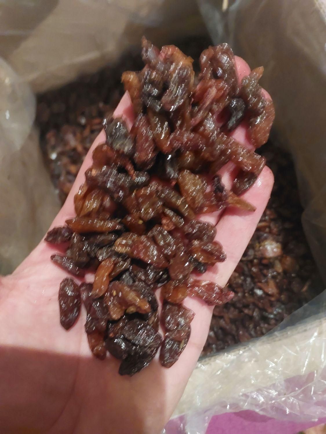 کشمش آفتابی  خراسان|خوردنی و آشامیدنی|کرمان, |دیوار