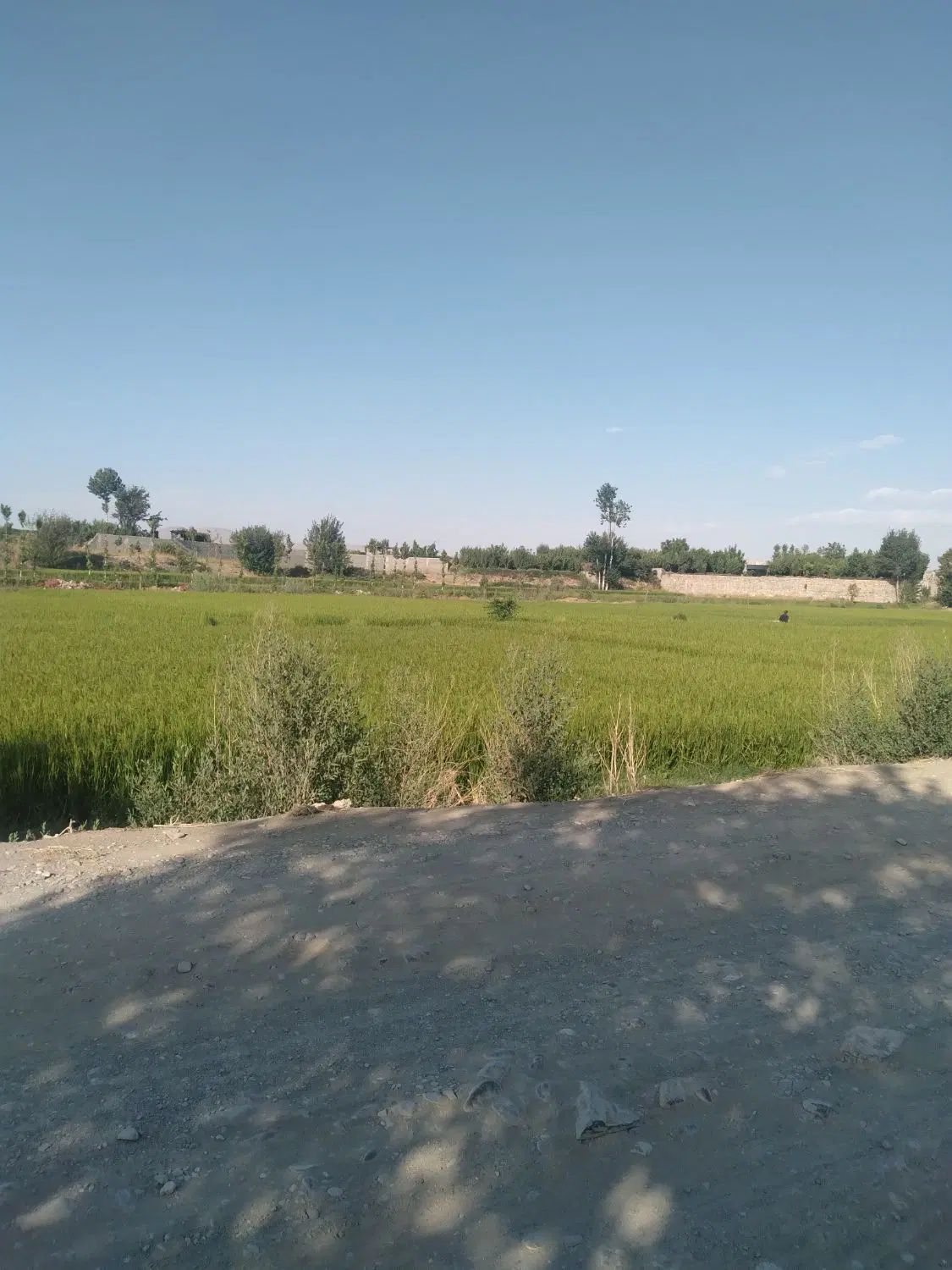 راهنمایی میکنم|فعالیت داوطلبانه|اصفهان, باغ فردوس|دیوار