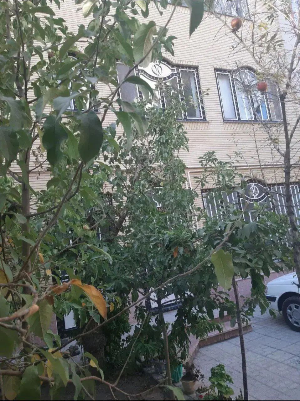 ۱۶۰ متر ویلایی/  ۲ خواب  / میعاد|اجارهٔ خانه و ویلا|مشهد, فرهنگیان (شهرک غرب)|دیوار