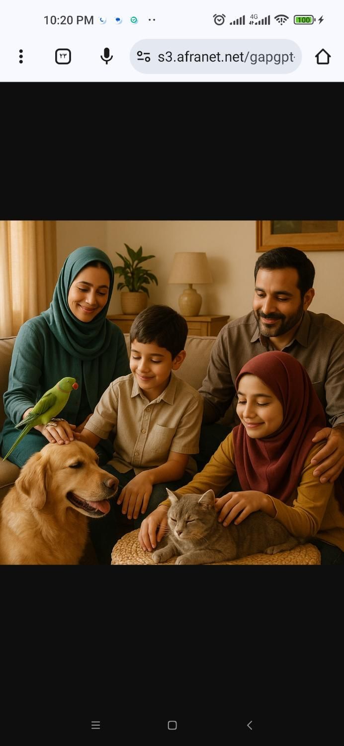 پانسیون ما، خانه‌ای گرم برای روزهای دوریِ شما|لوازم جانبی حیوانات|قم, سالاریه|دیوار