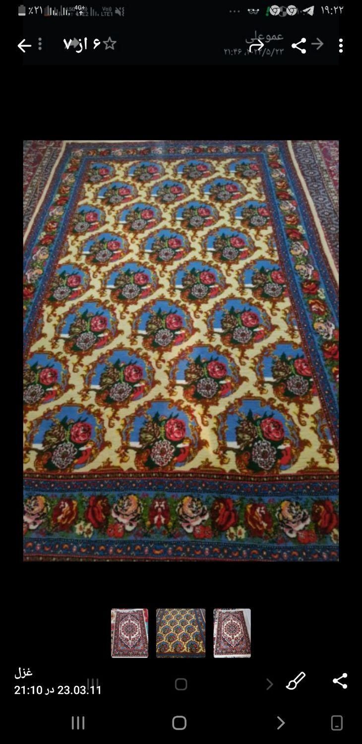 تولیدی فرش دستبافت|فرش|سنندج, |دیوار