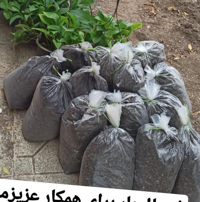 انواع خاک های مخصوص گیاهان آپارتمانی موجود است|گل و گیاه طبیعی|اهواز, جانبازان|دیوار