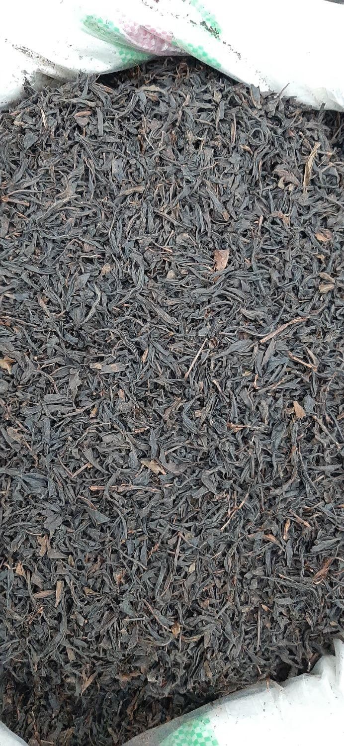 چای قلم ممتاز   بقیمت تولید محصول باغ چای خودم|خوردنی و آشامیدنی|پاکدشت, |دیوار