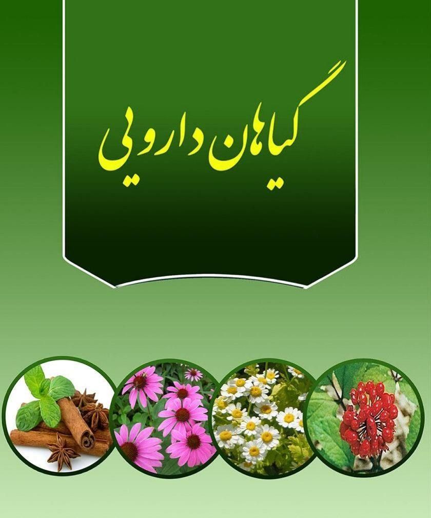 استخدام برای بانوان فعال|استخدام درمانی، زیبایی، بهداشتی|تبریز, |دیوار