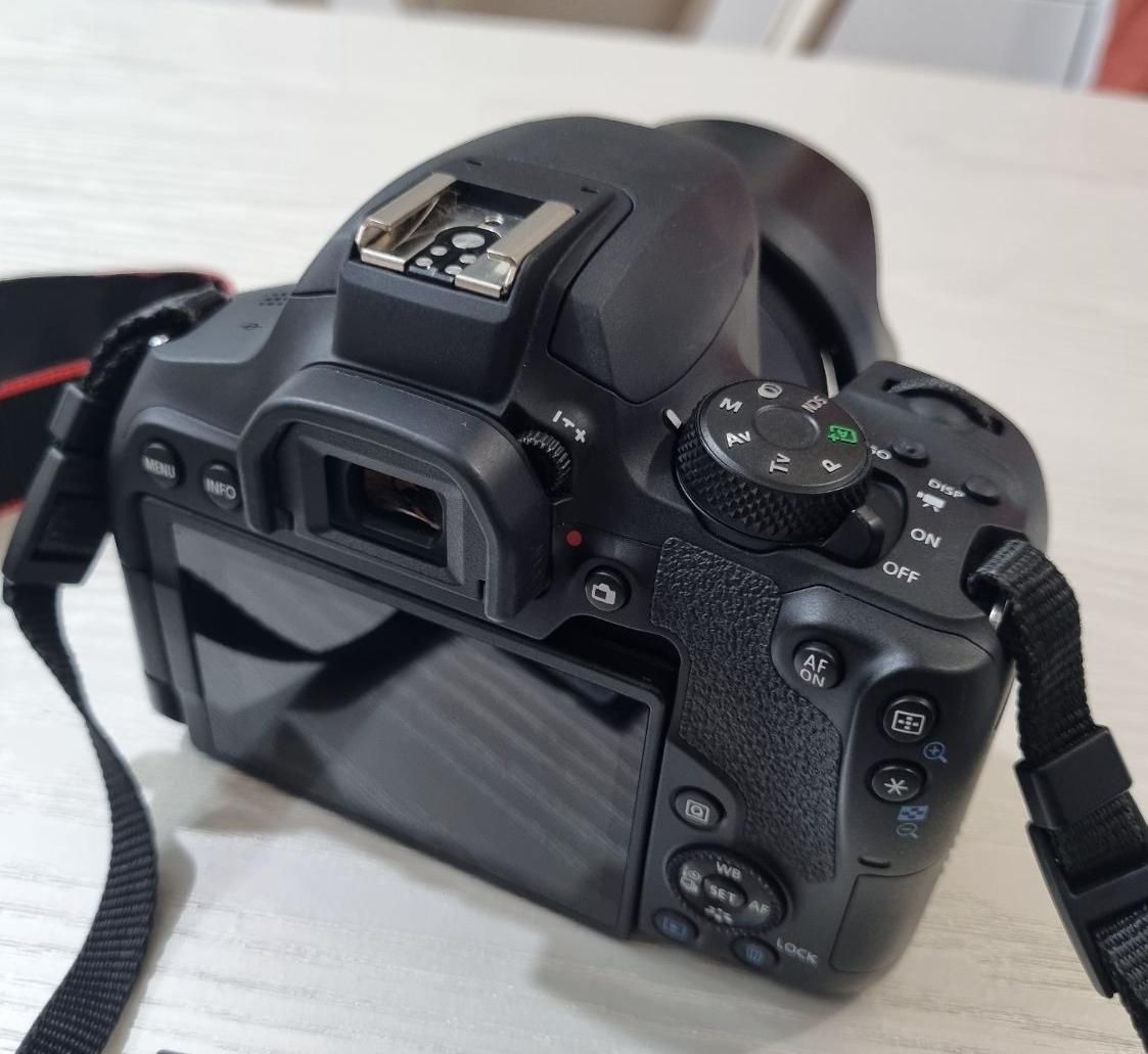 دوربین کانن به همراه لنز|دوربین عکاسی و فیلمبرداری|دوگنبدان, |دیوار