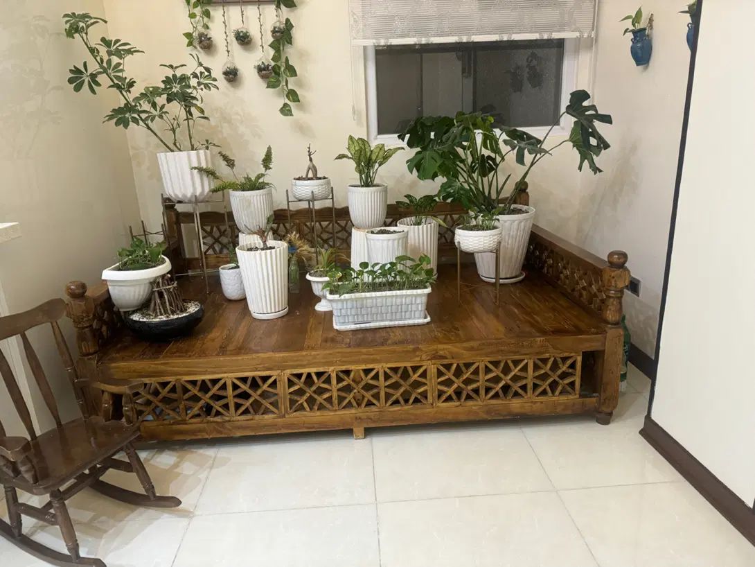 تخت چوبی سنتی  چوب روس مقاوم و کم کارکرد ۱۳۰×۲۰۰|تخت و سرویس خواب|تهران, هروی|دیوار