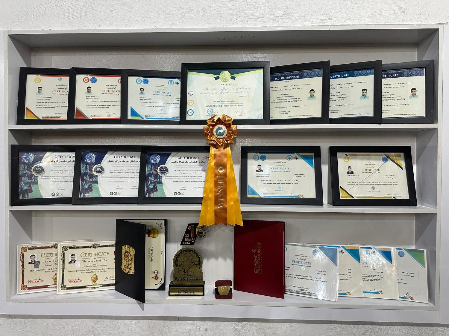 باشگاه تربیت و آموزش سگ ، مربی سگ|خدمات آموزشی|اصفهان, سپاهانشهر|دیوار