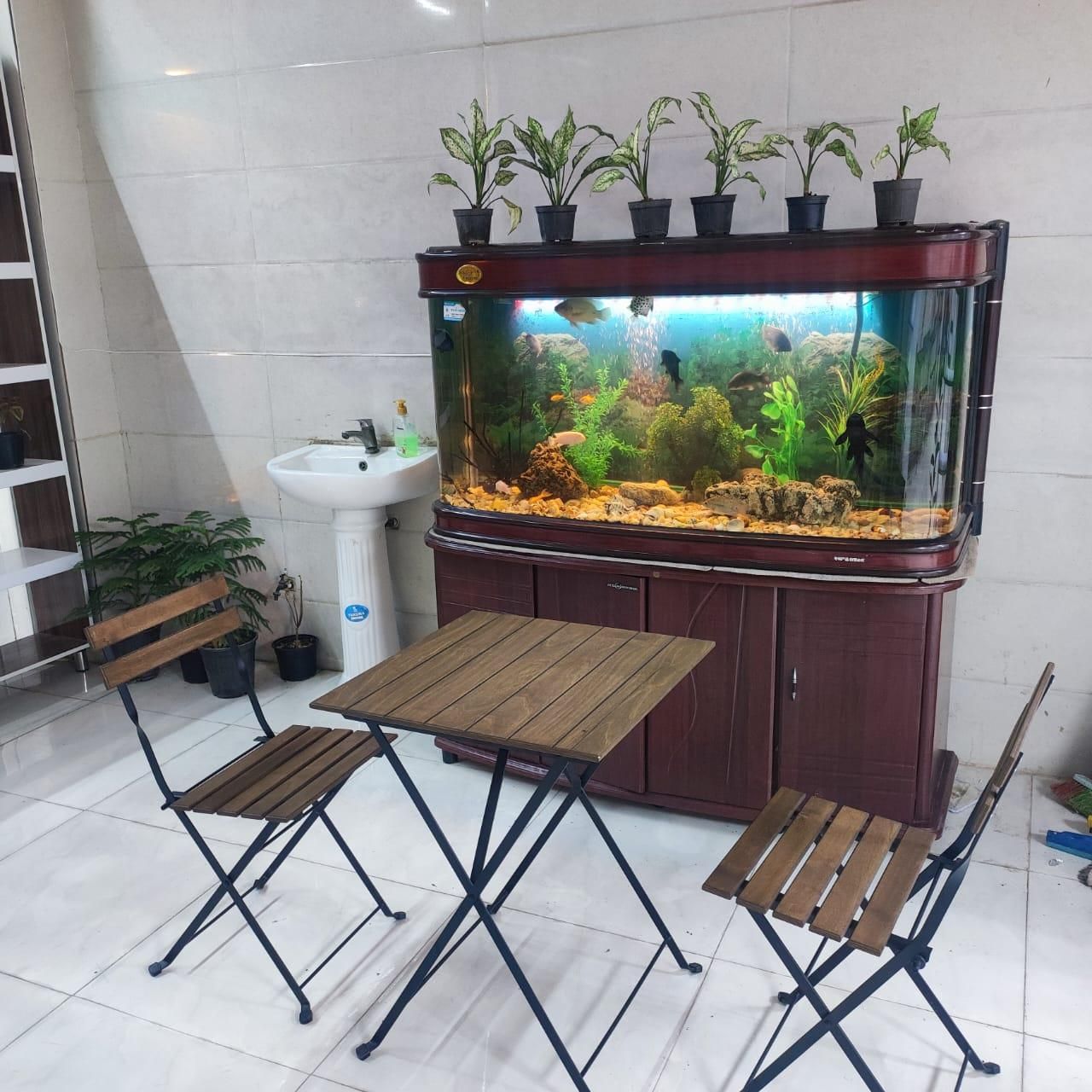 میز و صندلی سروینگ سالنی SOOSHIKA|میز و صندلی غذاخوری|ساری, |دیوار