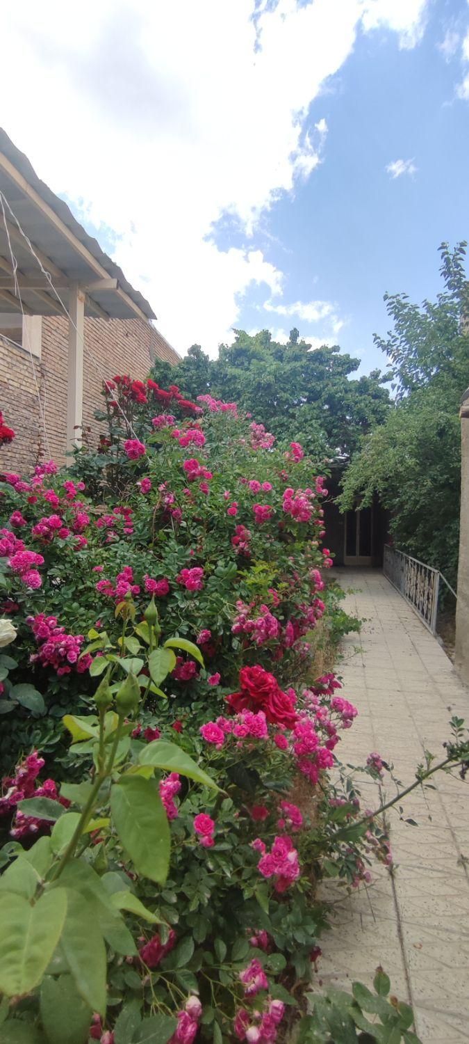 اجاره روزانه/هفتگی ویلا ۳۰۰ متری|اجارهٔ کوتاهمدت ویلا و باغ|خوانسار, |دیوار