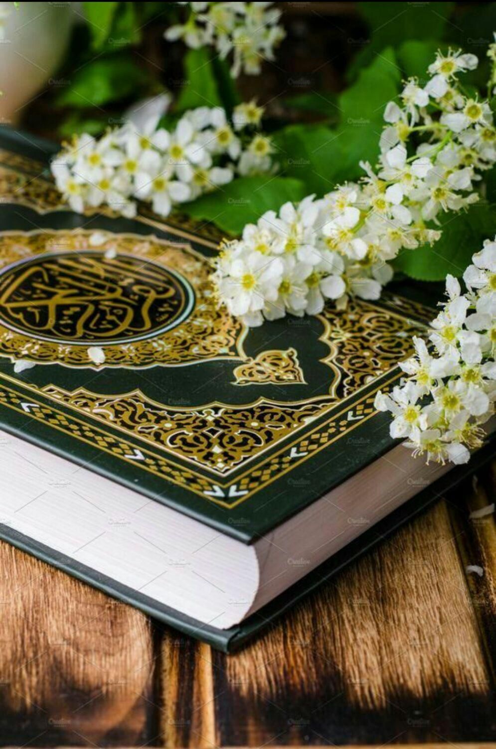 استخاره حصار علوم غریبه کارگشاه|خدمات پذیرایی، مراسم|برازجان, |دیوار