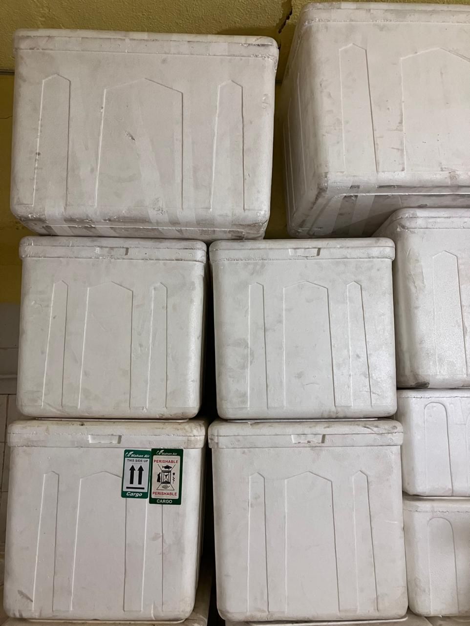 یخدان یونولیتی|ظروف نگهدارنده، پلاستیکی، یکبارمصرف|کرمان, |دیوار