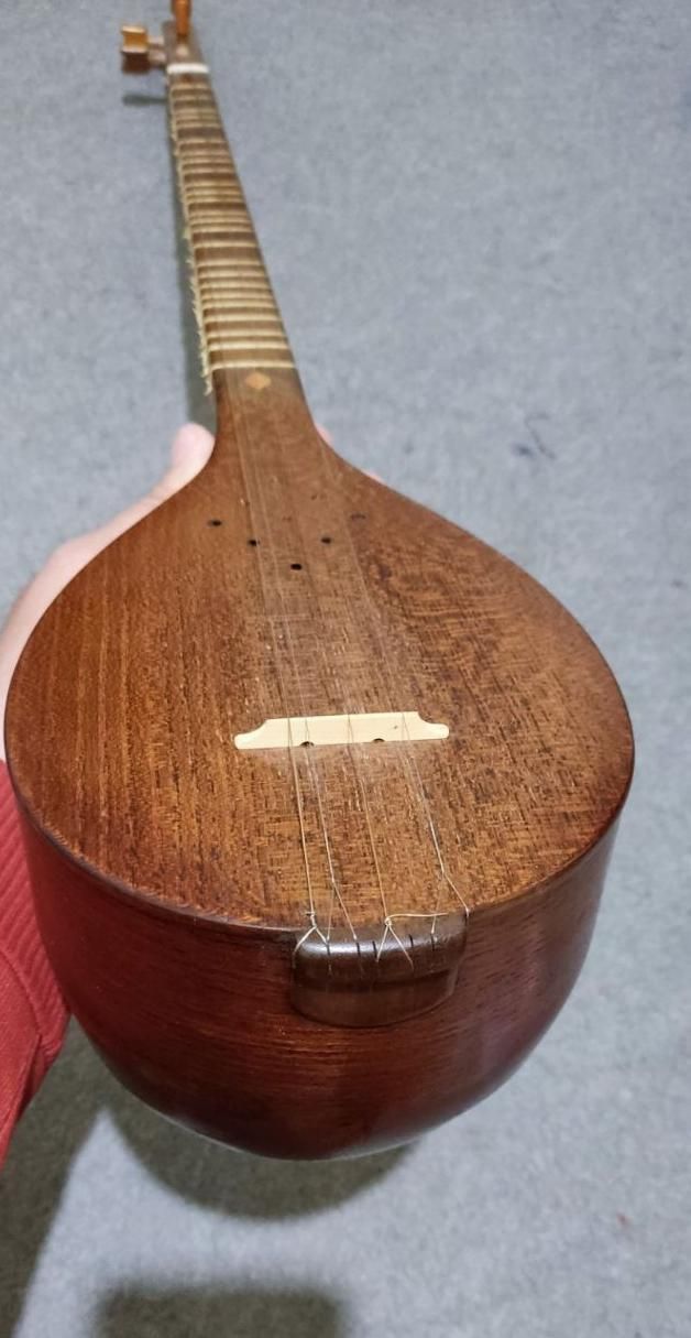 سه تار هاتف ملکشاهی|سازهای سنتی|تهران, آذری|دیوار