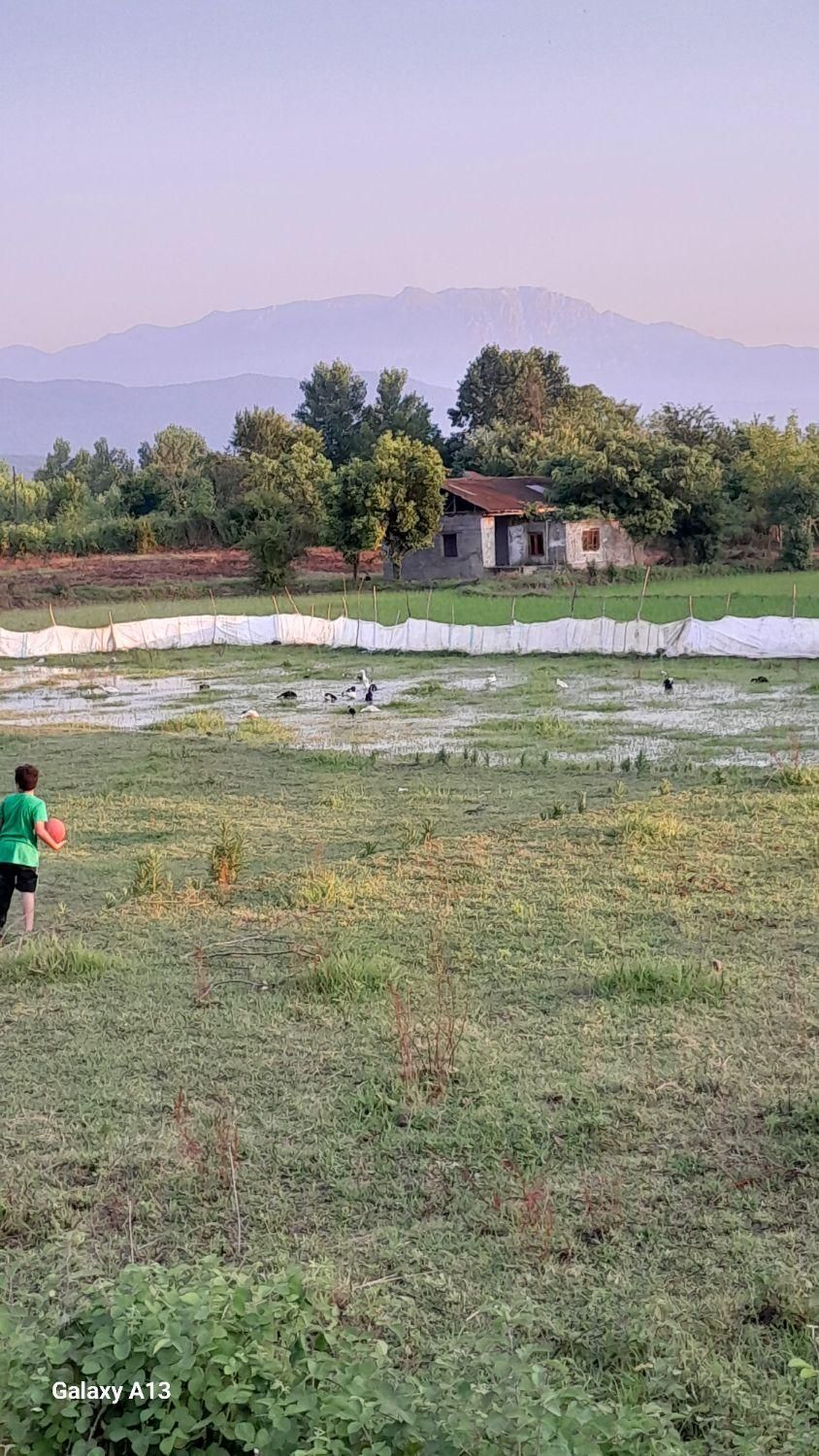 فروش زمین مسکونی با ویلای کلنگی|فروش زمین و ملک کلنگی|سنگر, |دیوار