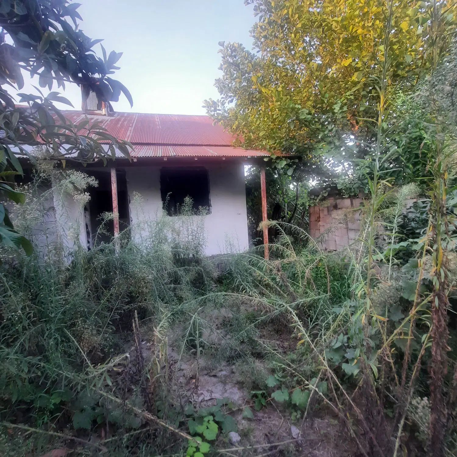 مگه داریم ویلای شهری۲۳۰متری درکوچه اصفهان این قیمت|فروش خانه و ویلا|رشت, کاکتوس|دیوار