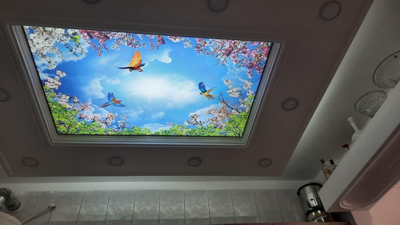 جشنواره کاغذدیواری|خدمات پیشه و مهارت|قم, پردیسان|دیوار