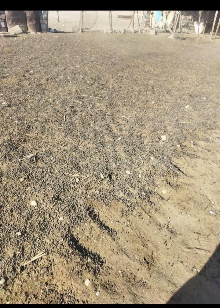 کود حیوانی گاوی گوسفندی|لوازم جانبی حیوانات|اهواز, زرگان|دیوار