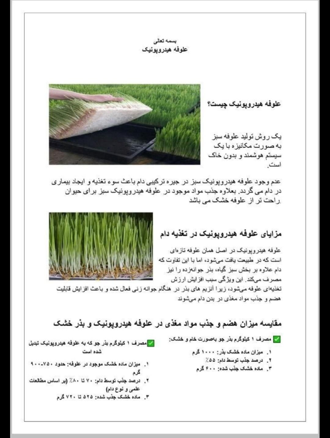علوفه هیدروپونیک|حیوانات مزرعه|نسیم‌شهر, |دیوار