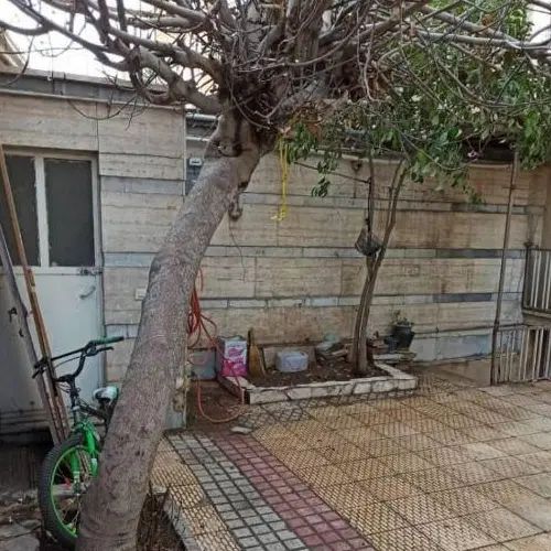 اجاره خانه ویلایی|اجارهٔ خانه و ویلا|تهران, اسفندیاری|دیوار
