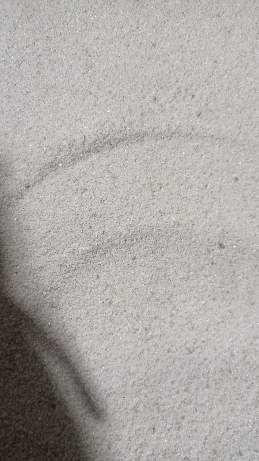 فروش شکر ضایعاتی|عمدهفروشی|ری, علایین|دیوار