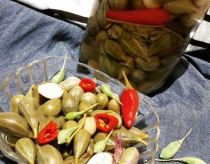 دبه ای قیمت مناسب|حراج|تهران, امیریه|دیوار