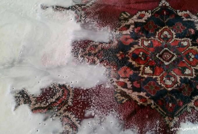 قالیشویی پدیده|خدمات نظافت|سمنان, |دیوار