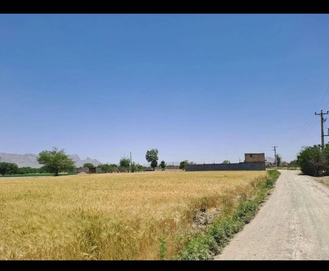 ۱۰۰۰ متر زمین کشاورزی باغ کنار جاده کانال تیربرق|فروش دفتر صنعتی، کشاورزی، تجاری|پیر بکران, |دیوار